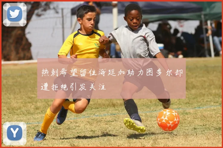 热刺希望留住海廷加助力图多尔却遭拒绝引发关注