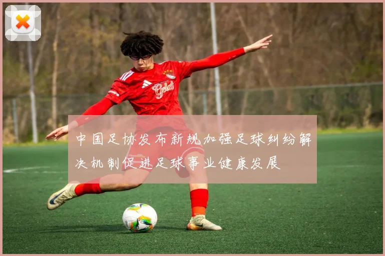 中国足协发布新规加强足球纠纷解决机制促进足球事业健康发展