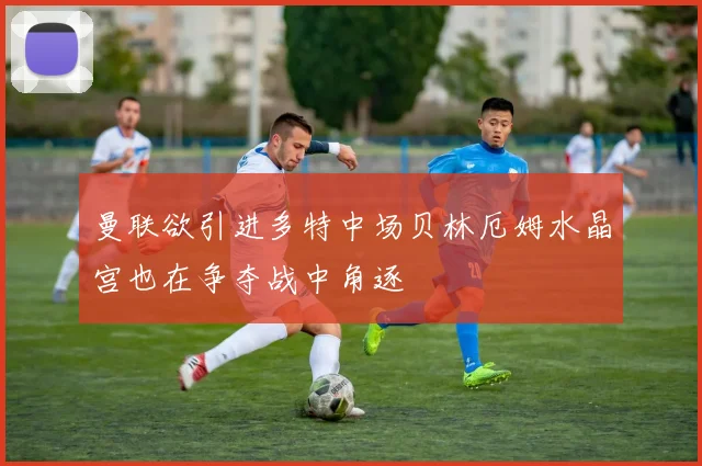 曼联欲引进多特中场贝林厄姆水晶宫也在争夺战中角逐