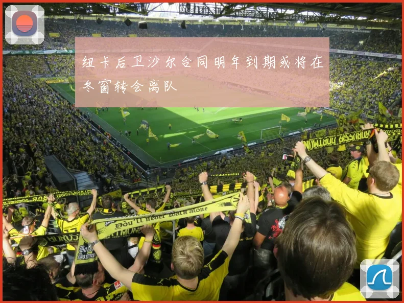 纽卡后卫沙尔合同明年到期或将在冬窗转会离队