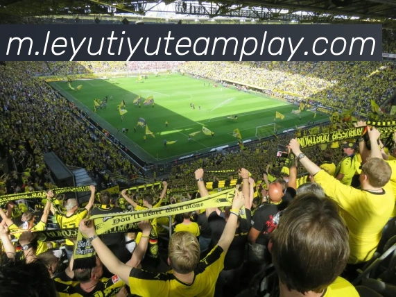 乐鱼体育平台生态图