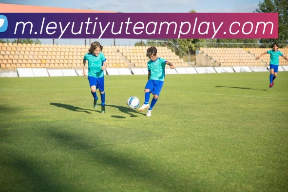 乐鱼体育APP 封面图